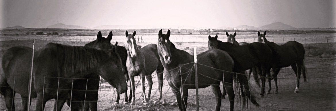 reddirtranchcc's profile banner image