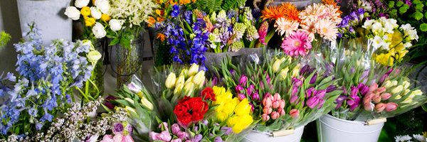 StudioBloom124 Profile Banner