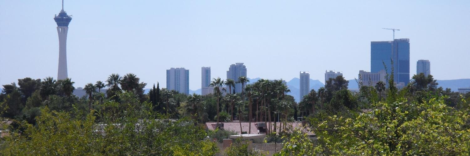Vegas Blips banner