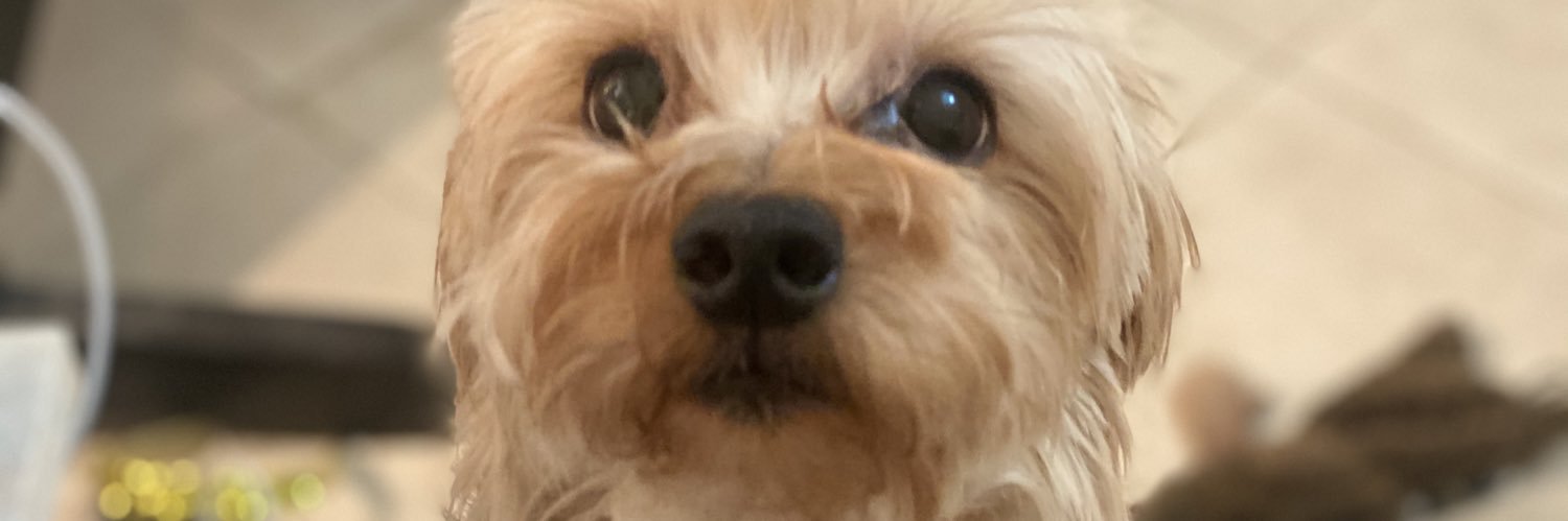 ClarissaCosico's profile banner image