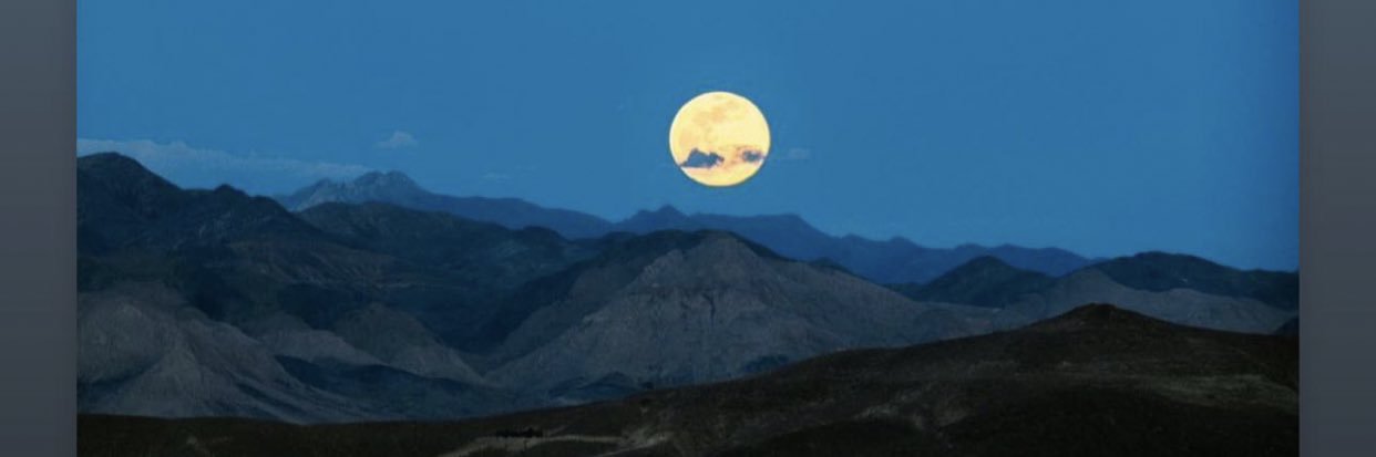 ebaberenise's profile banner image