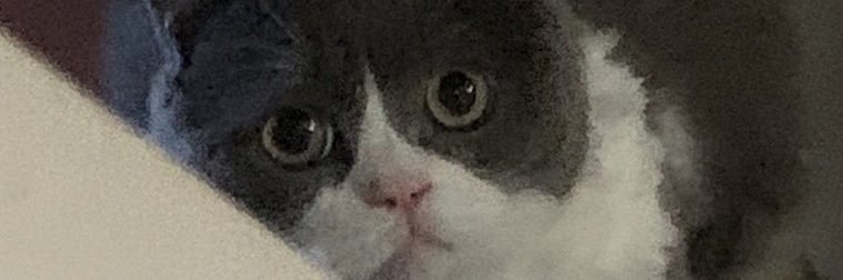 waterice🍚💧 banner