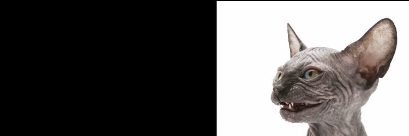 j👶 banner