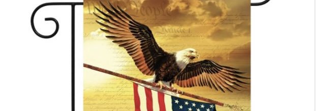 Brandon Elliott 🦅 banner