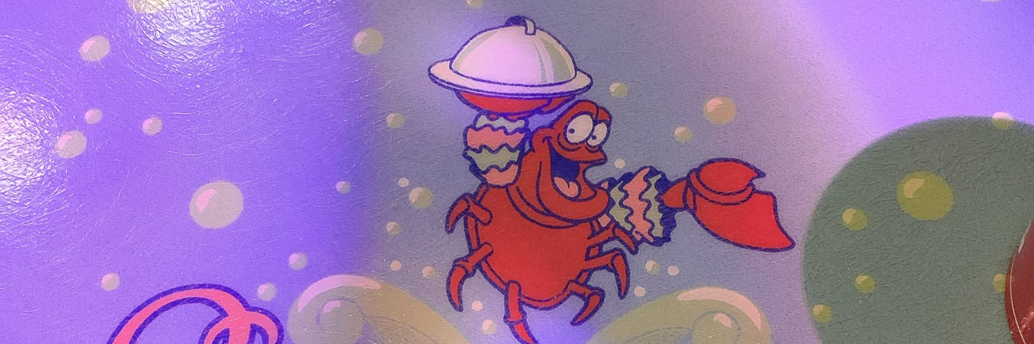 NprincessN's profile banner image