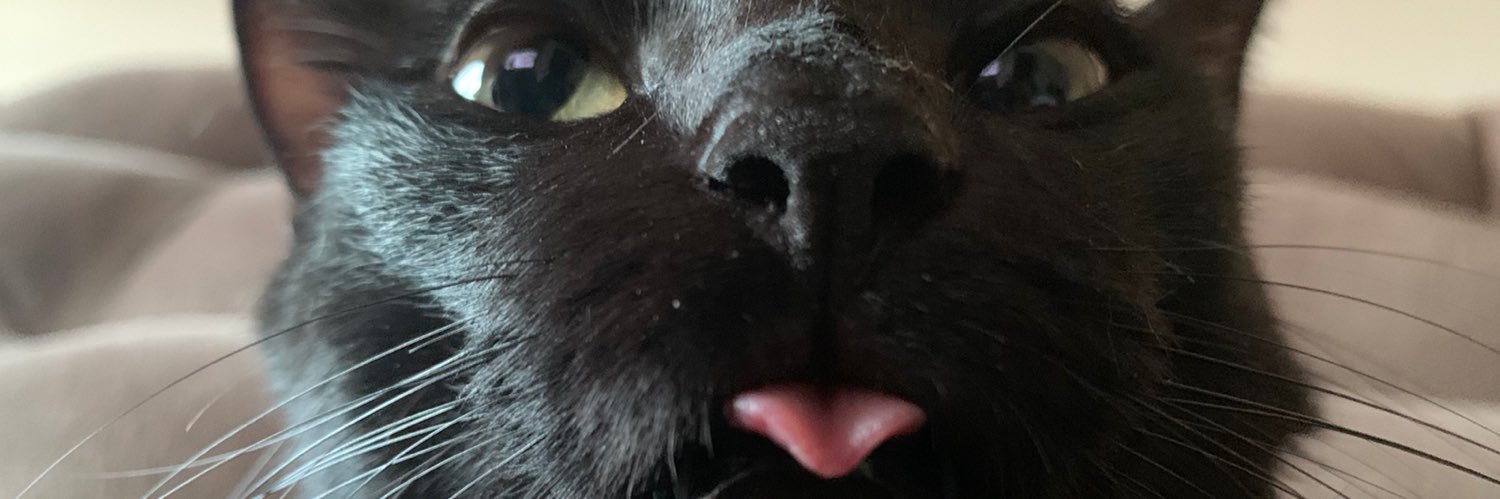 treploh's profile banner image