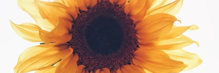 ratnarya's profile banner image