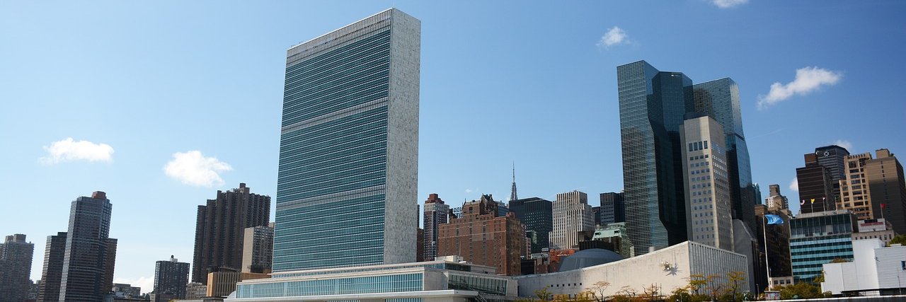 United Nations Association of New York 🗽 banner