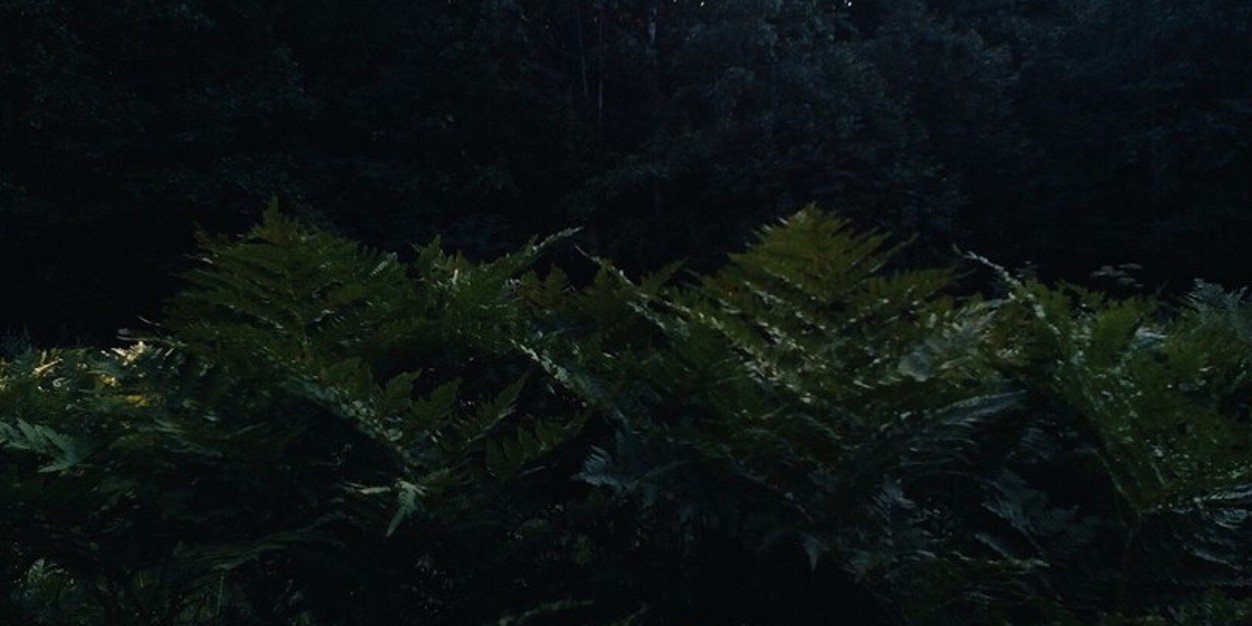 krletrnlll's profile banner image