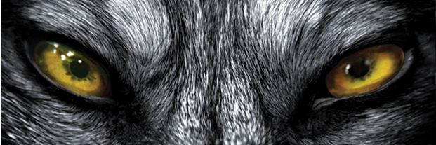 TimberGdawg's profile banner image