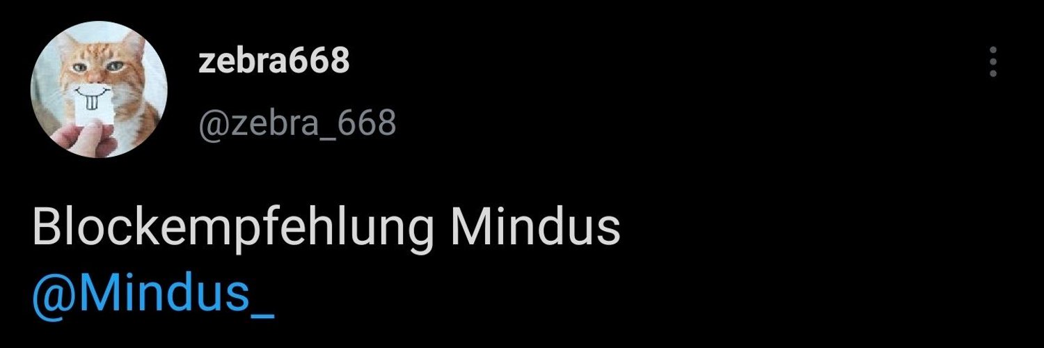 Mindus-METAL 🏮🦊 banner