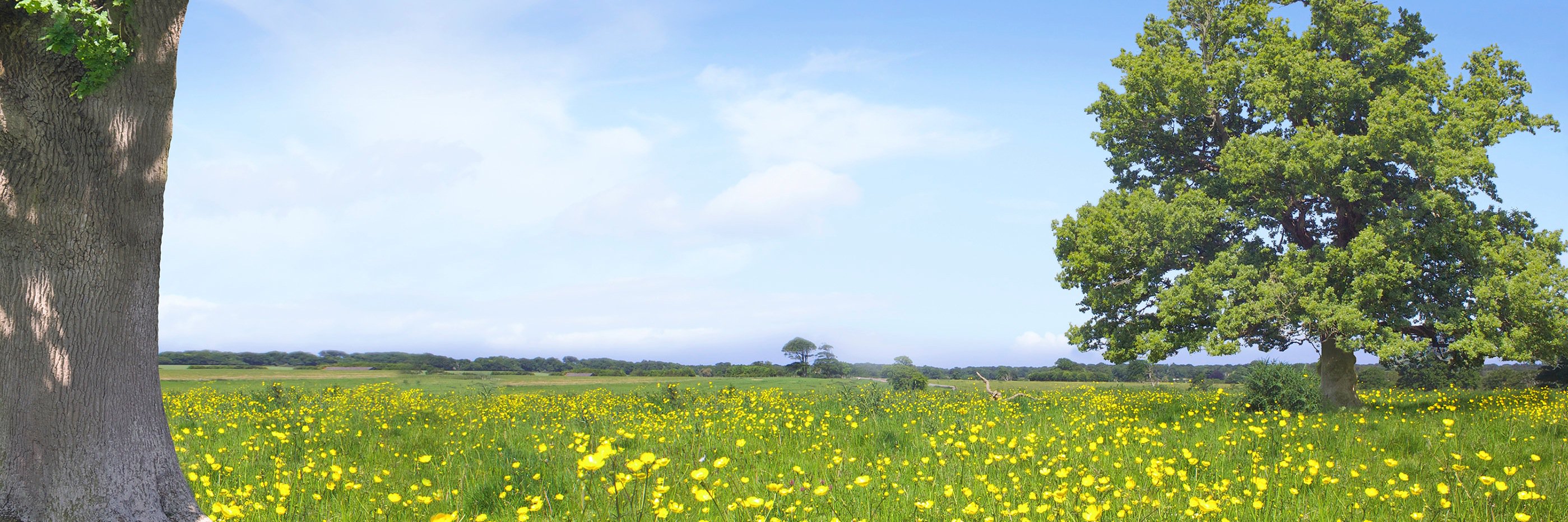ComfortersA1's profile banner image