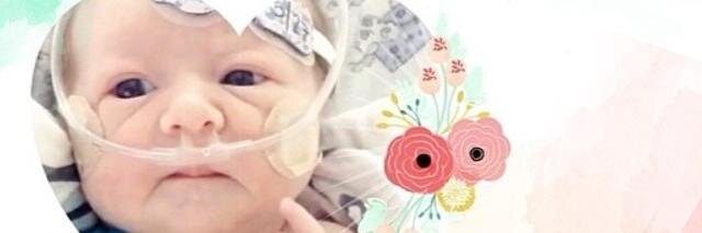 loveforclara's profile banner image