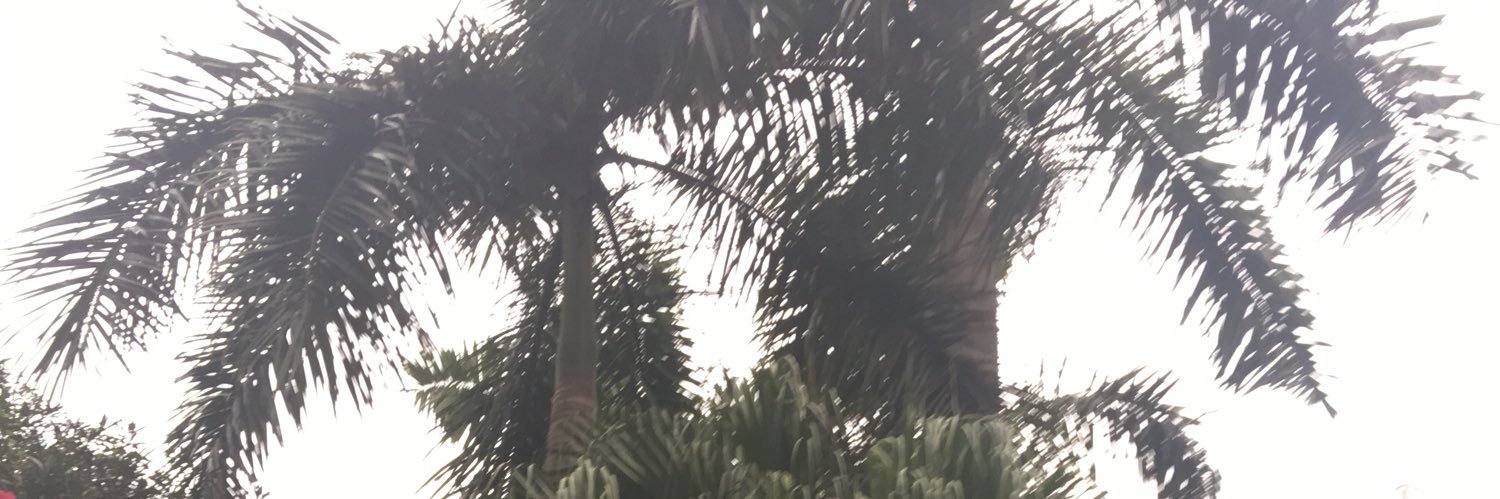 PukoTaylor's profile banner image