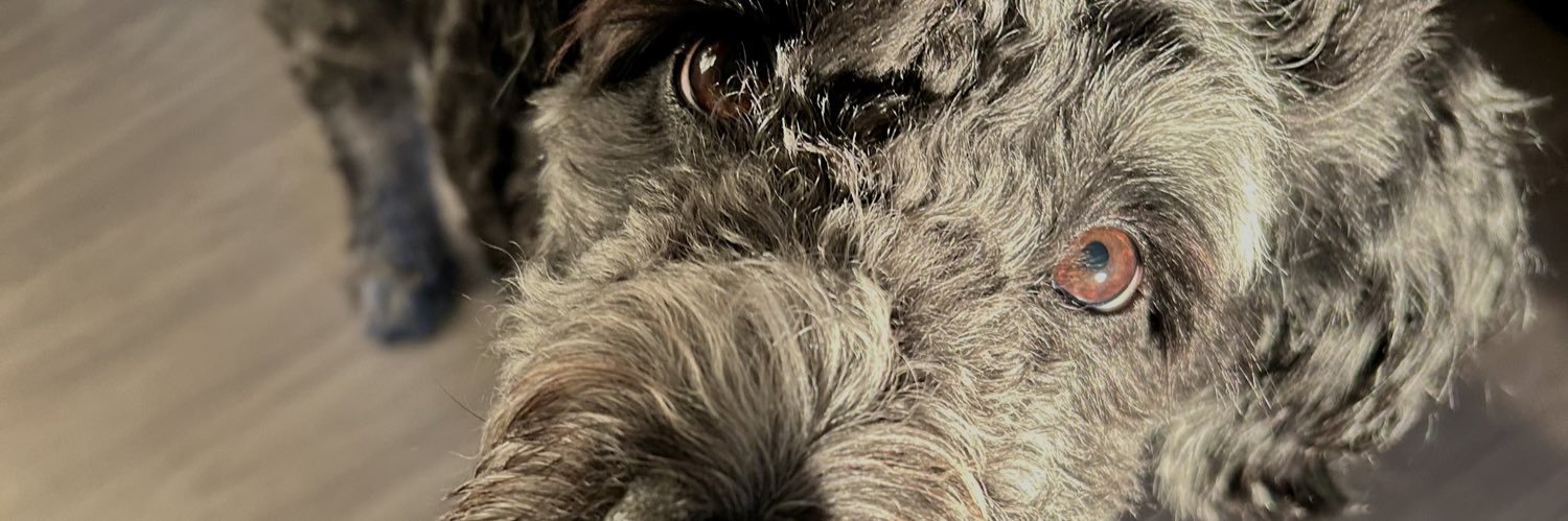 JessiePetty's profile banner image
