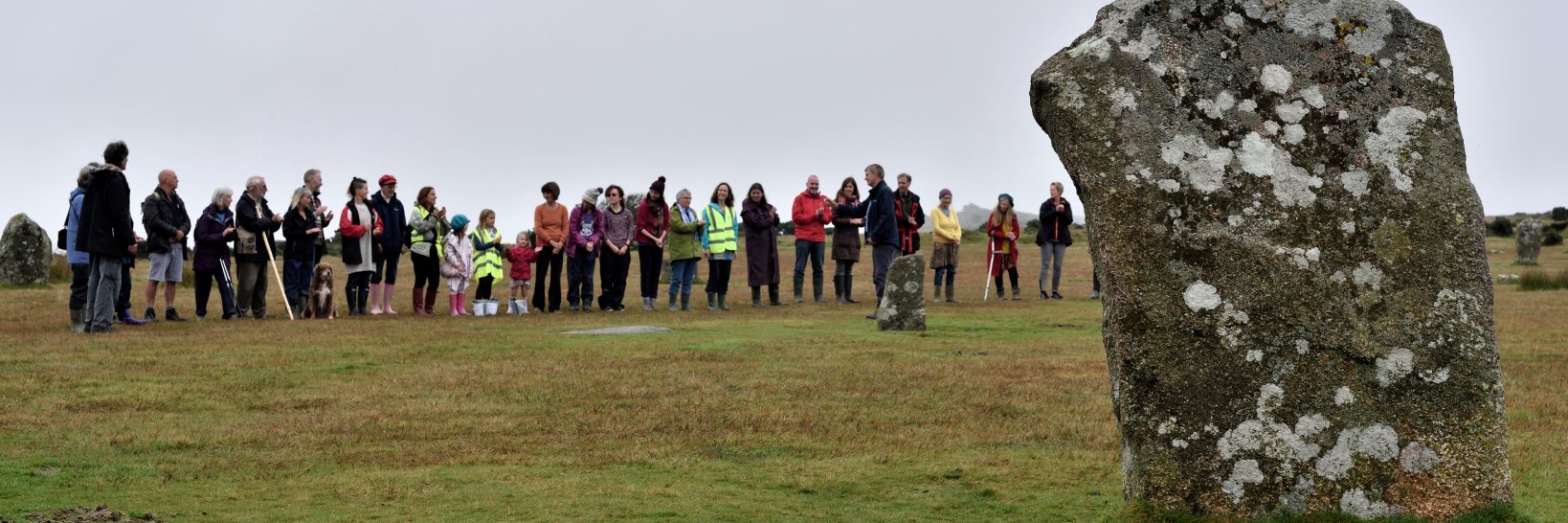 Mayes Creative banner