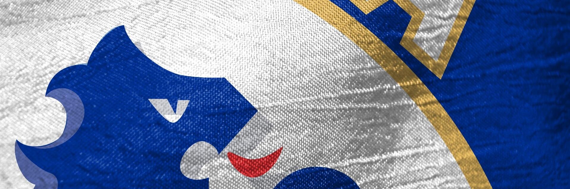 bluelion110's profile banner image