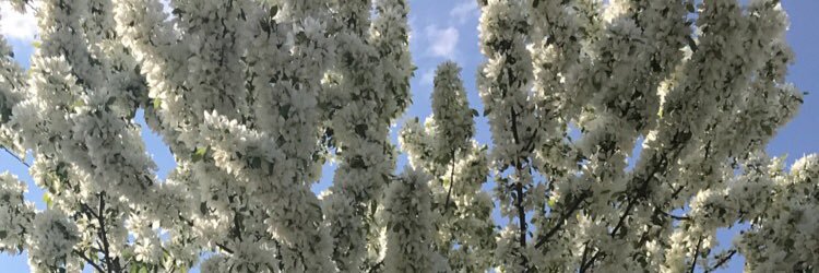 kelyn_johnson's profile banner image
