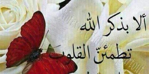 saud7230's profile banner image