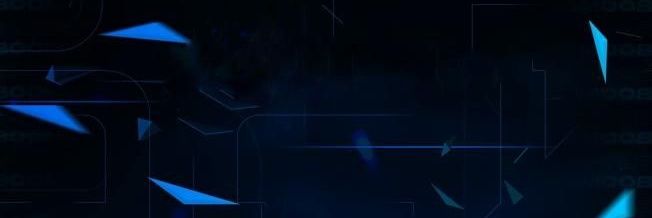 BrucTaxe100 banner