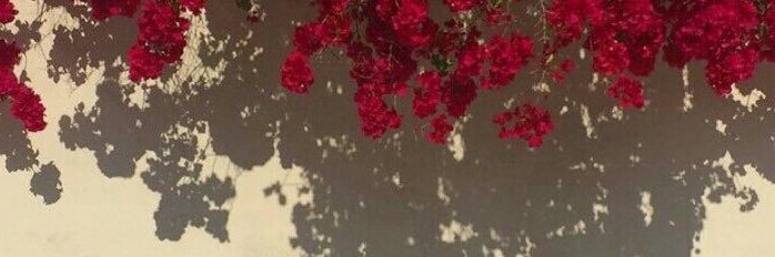 Las_l76's profile banner image