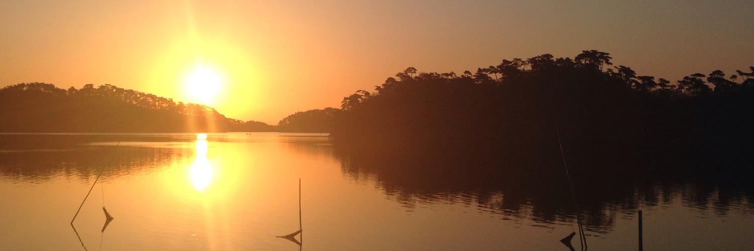 たつのこ❀ミッドレンジ兎田🔰 banner