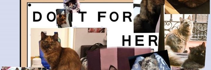 mataevaina's profile banner image