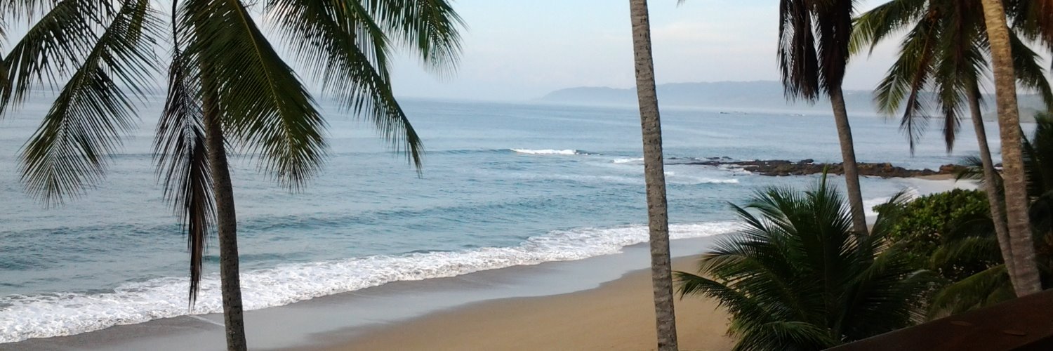 puravidadl's profile banner image