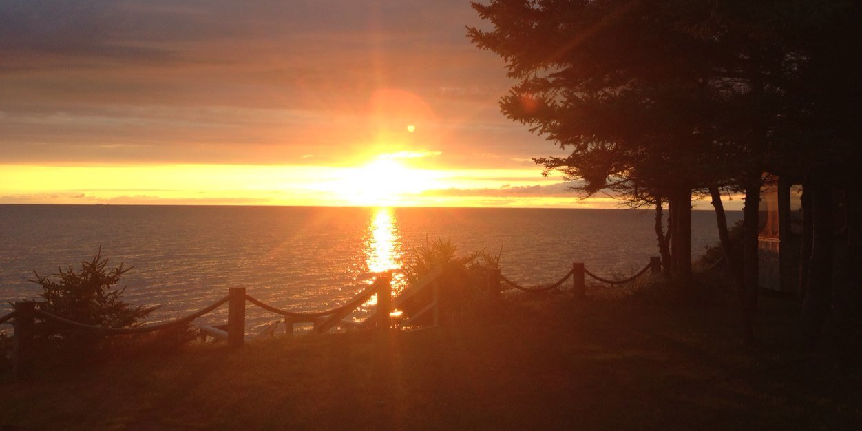 lori_colborne's profile banner image