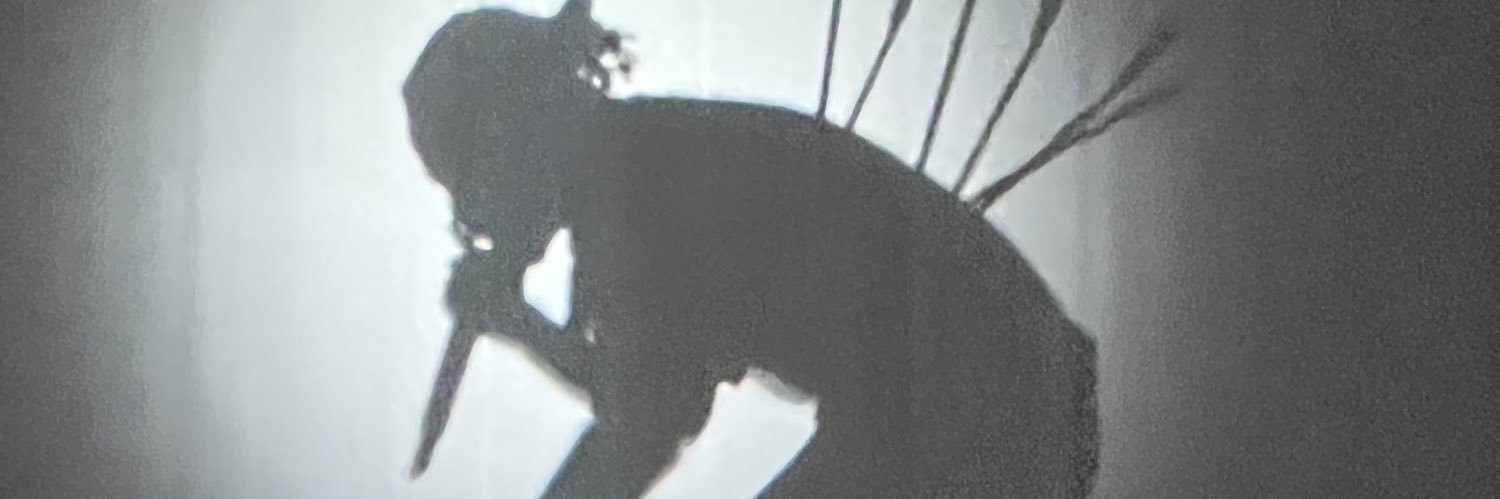 lucashaaser's profile banner image