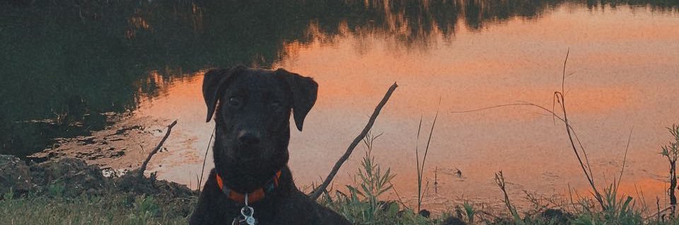 haileyjane21's profile banner image