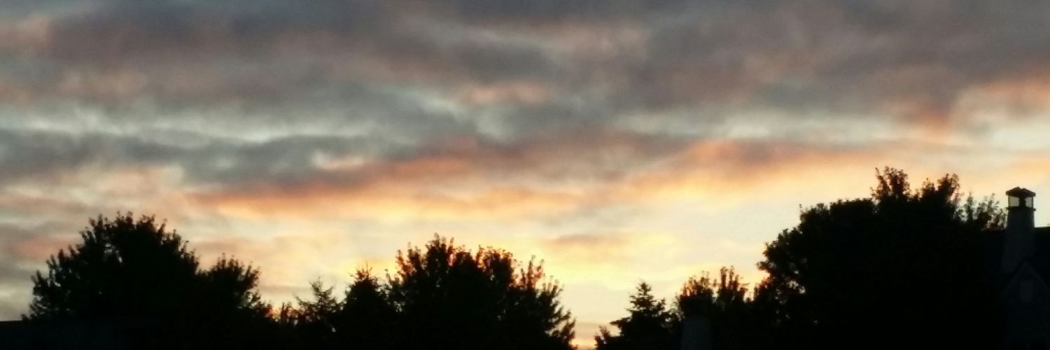 lrkelber's profile banner image