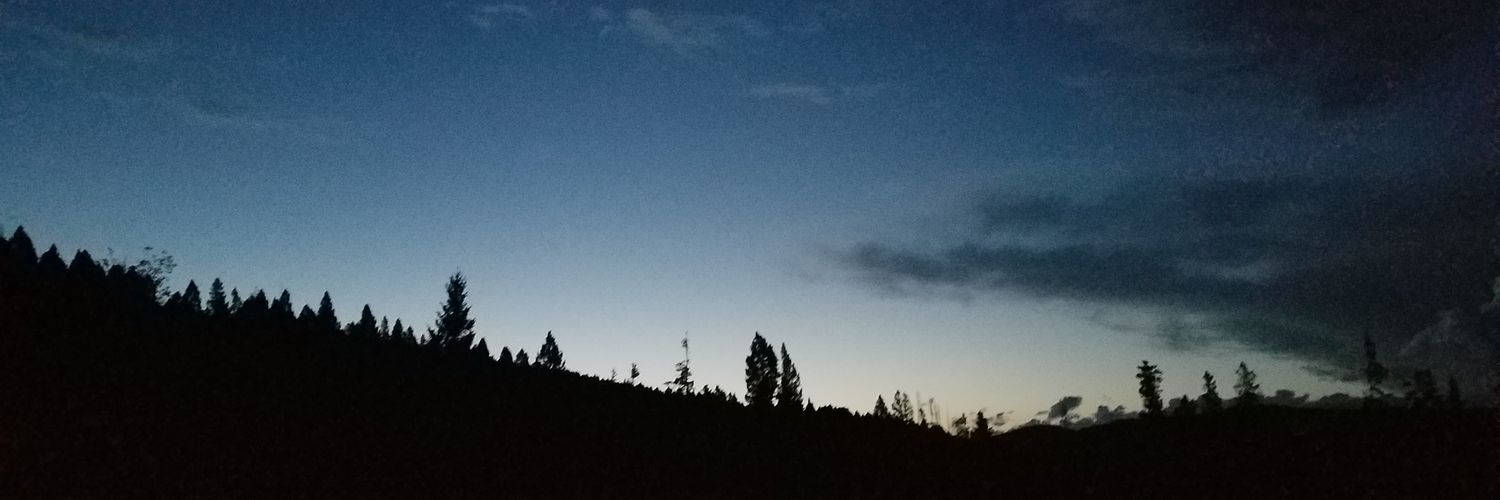 AngelBear54's profile banner image