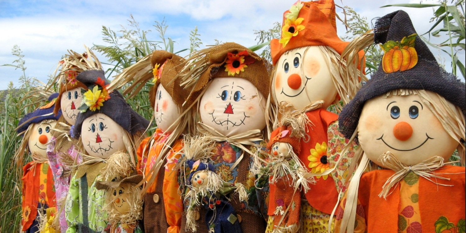 SGGardeners's profile banner image