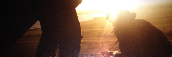 gincollette Profile Banner