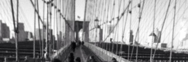 _hayles's profile banner image