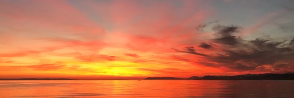 dancingbirds Profile Banner