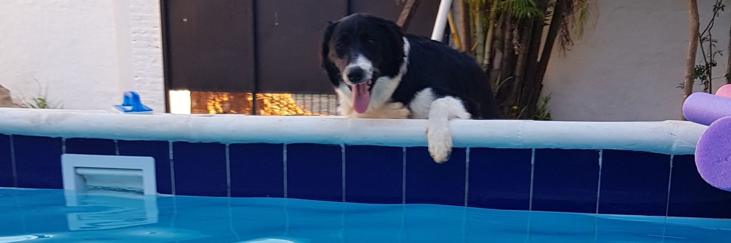 Piorojas's profile banner image