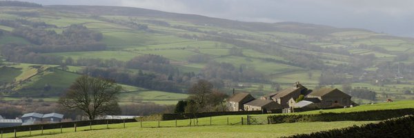 TeaStats Profile Banner