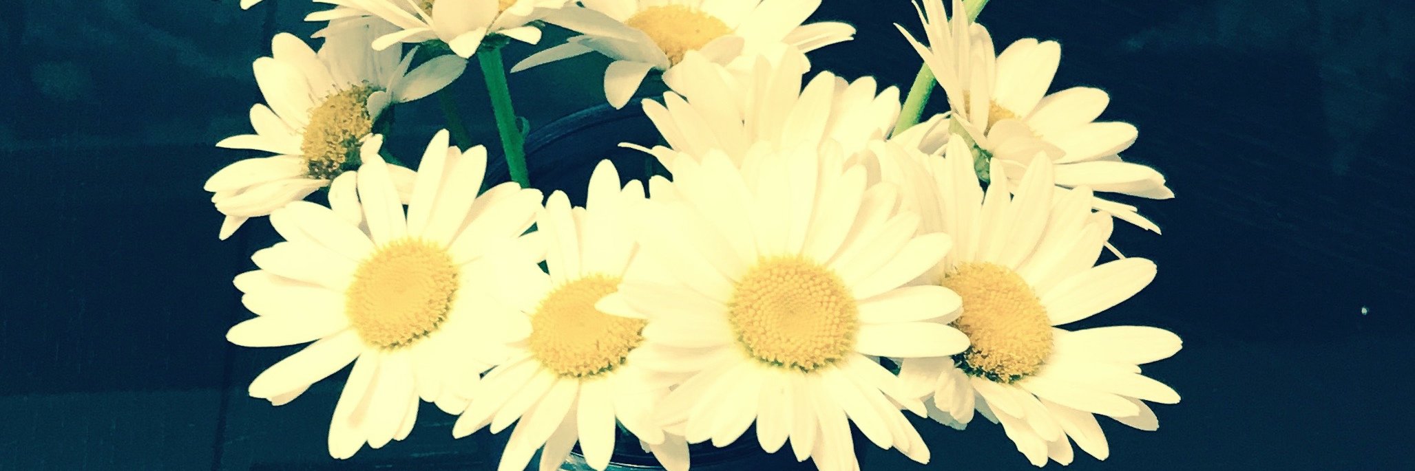 audreykfriel's profile banner image