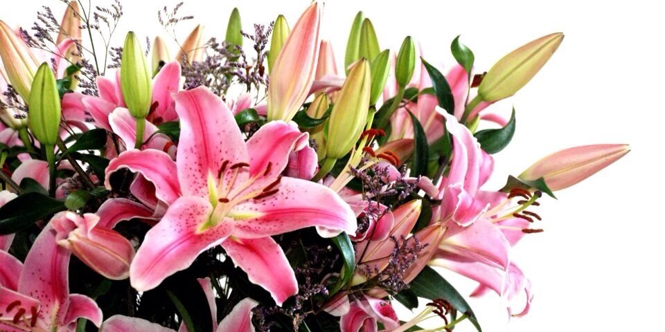 Flowersoncash's profile banner image