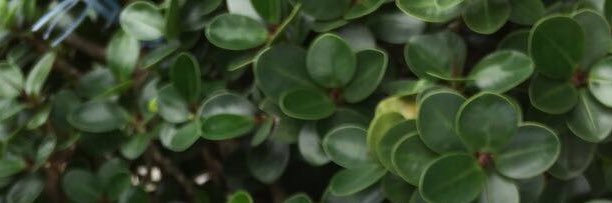 IDKNINI's profile banner image