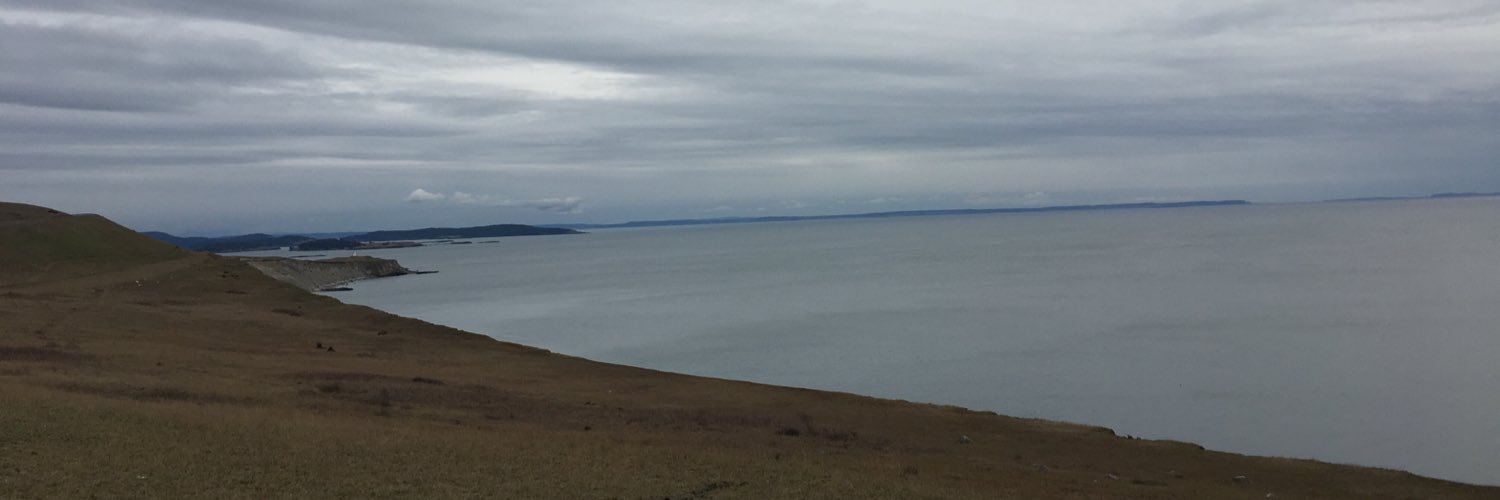 lharpper's profile banner image