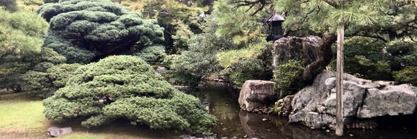 _shield_1 Profile Banner