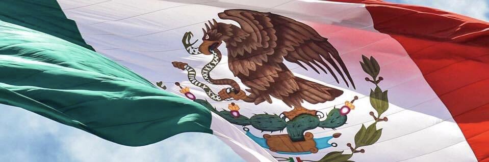 BirdAddy's profile banner image