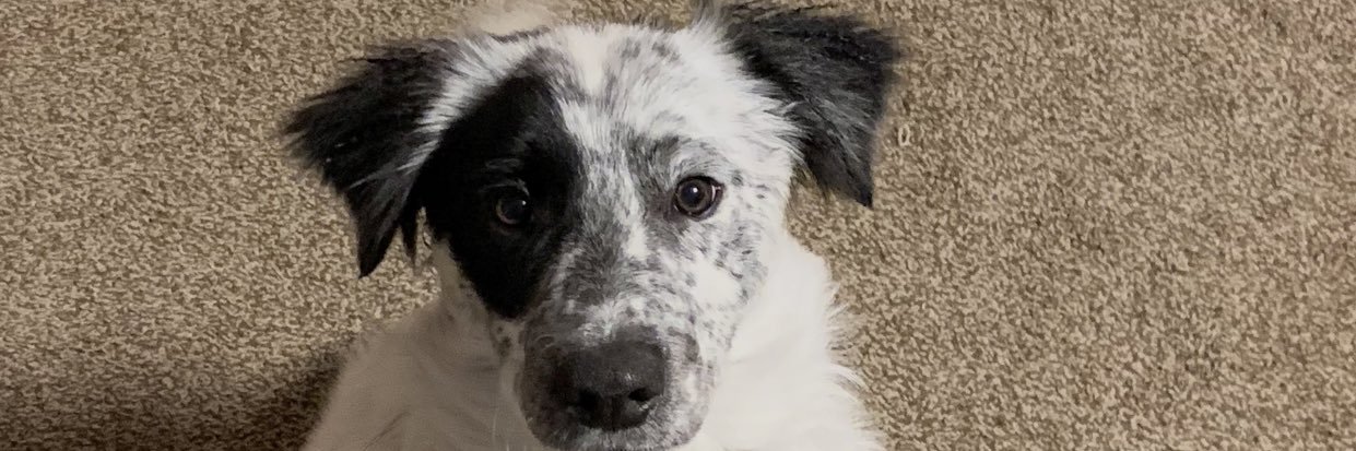 MorganLoree10's profile banner image