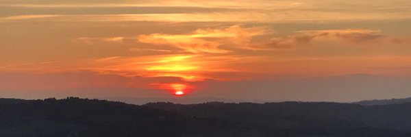 Sarah_Tierney_ Profile Banner