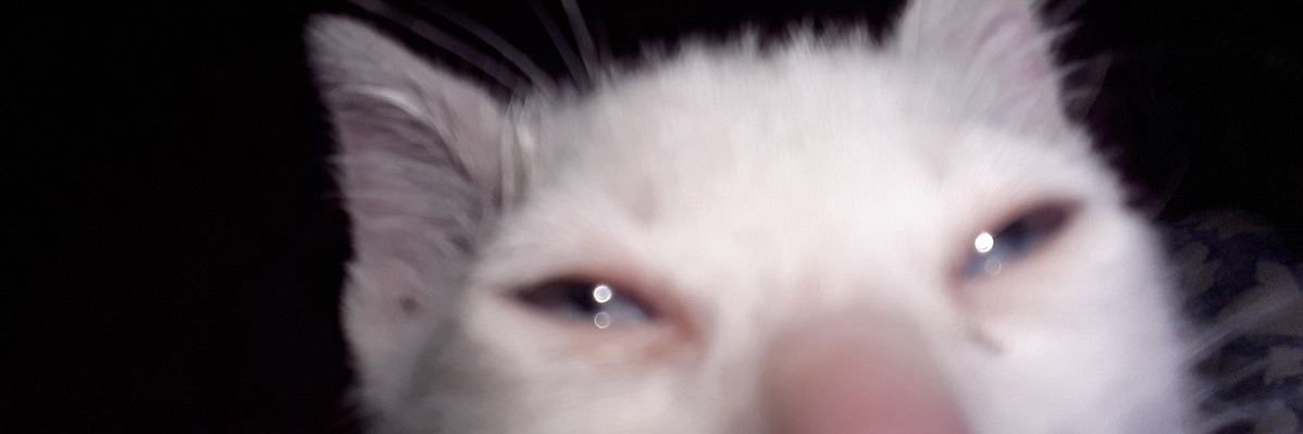 bia | rep dlu y soalnya dm error banner