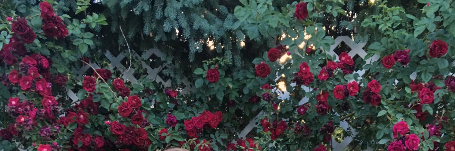 _katietrapp's profile banner image