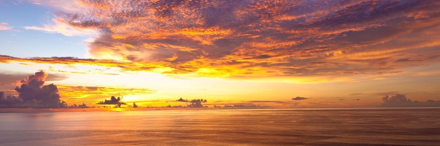Firstzysukunya's profile banner image
